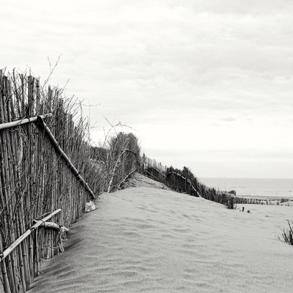 Beach, black and white photo