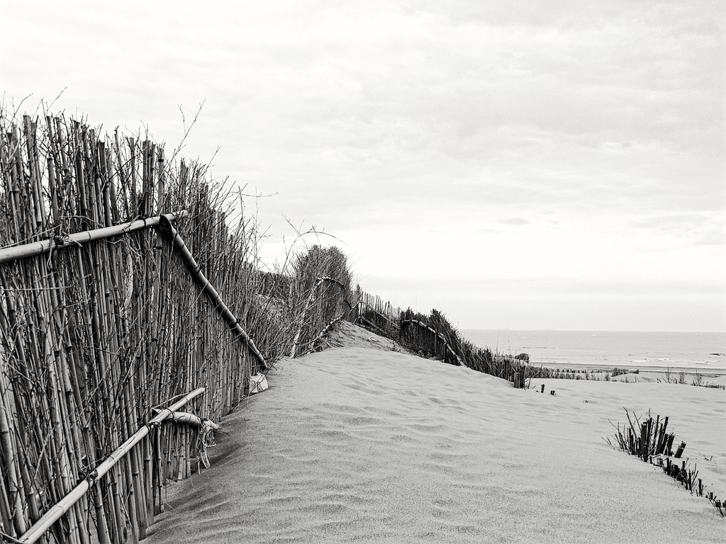 Beach, black and white photo