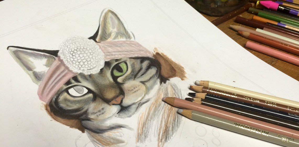 Cat Portrait Progress