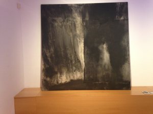 12016516_1032582623440081_1045523118_n