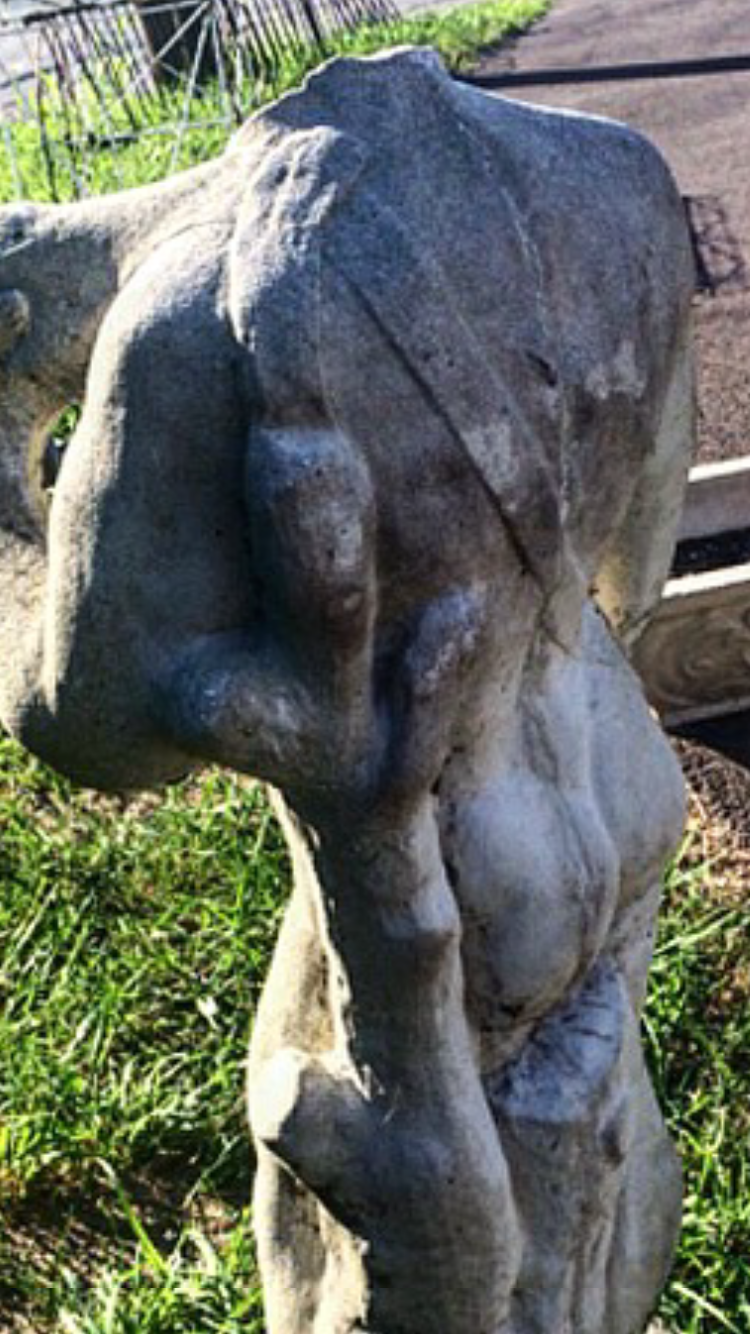 Zoom in of David's Back