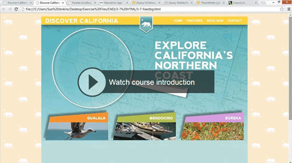Design Aesthetics for Web Designers