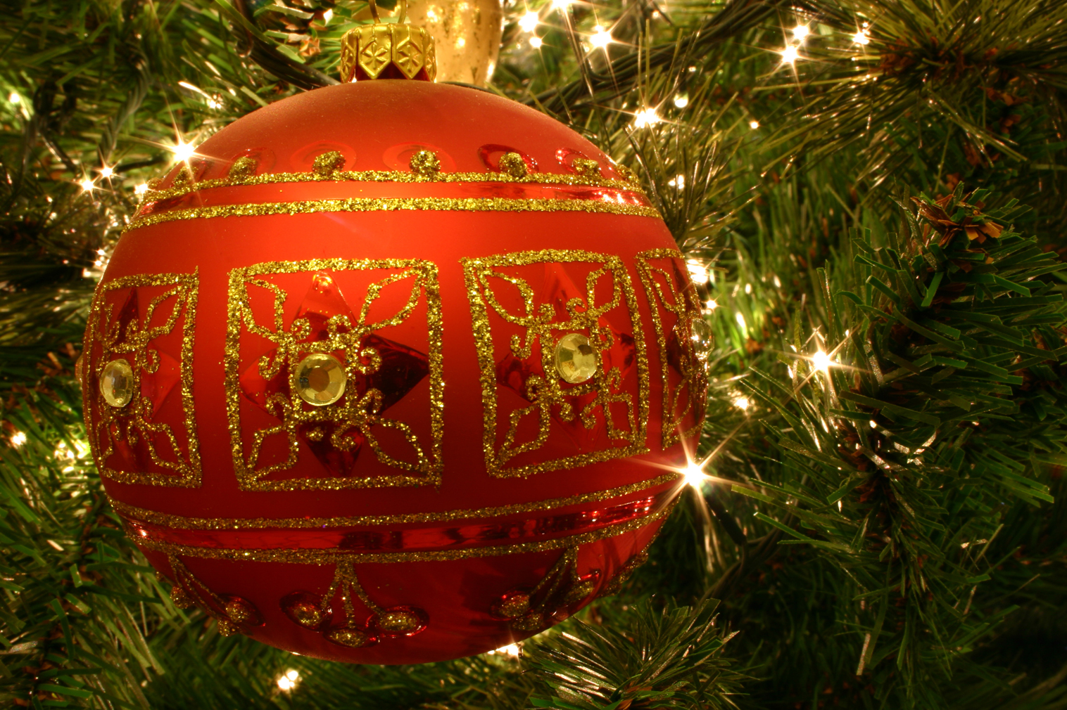 Ornament on a Christmas Tree
