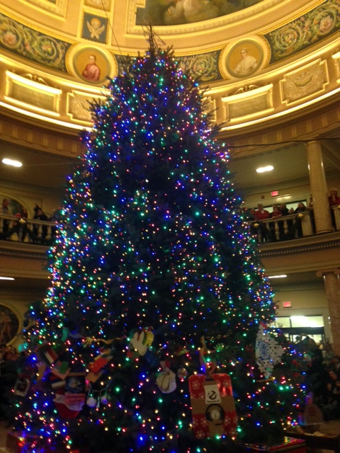 Marywood Christmas tree in the rotunda after being lit
