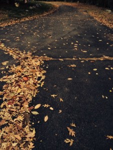 photo(13)
