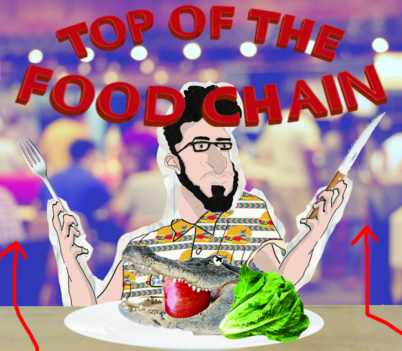 top of the foodchain 2
