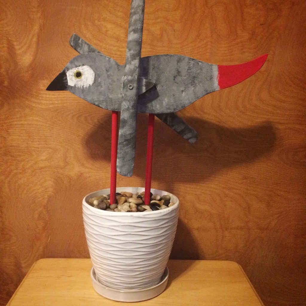 African Grey Whirligig