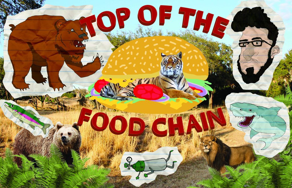 weeklyassignment4 lrg