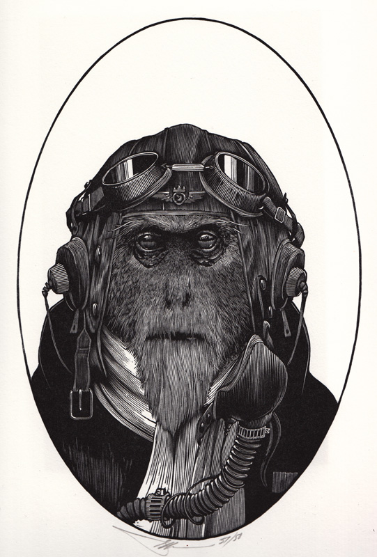 The King of the Winged Monkeys