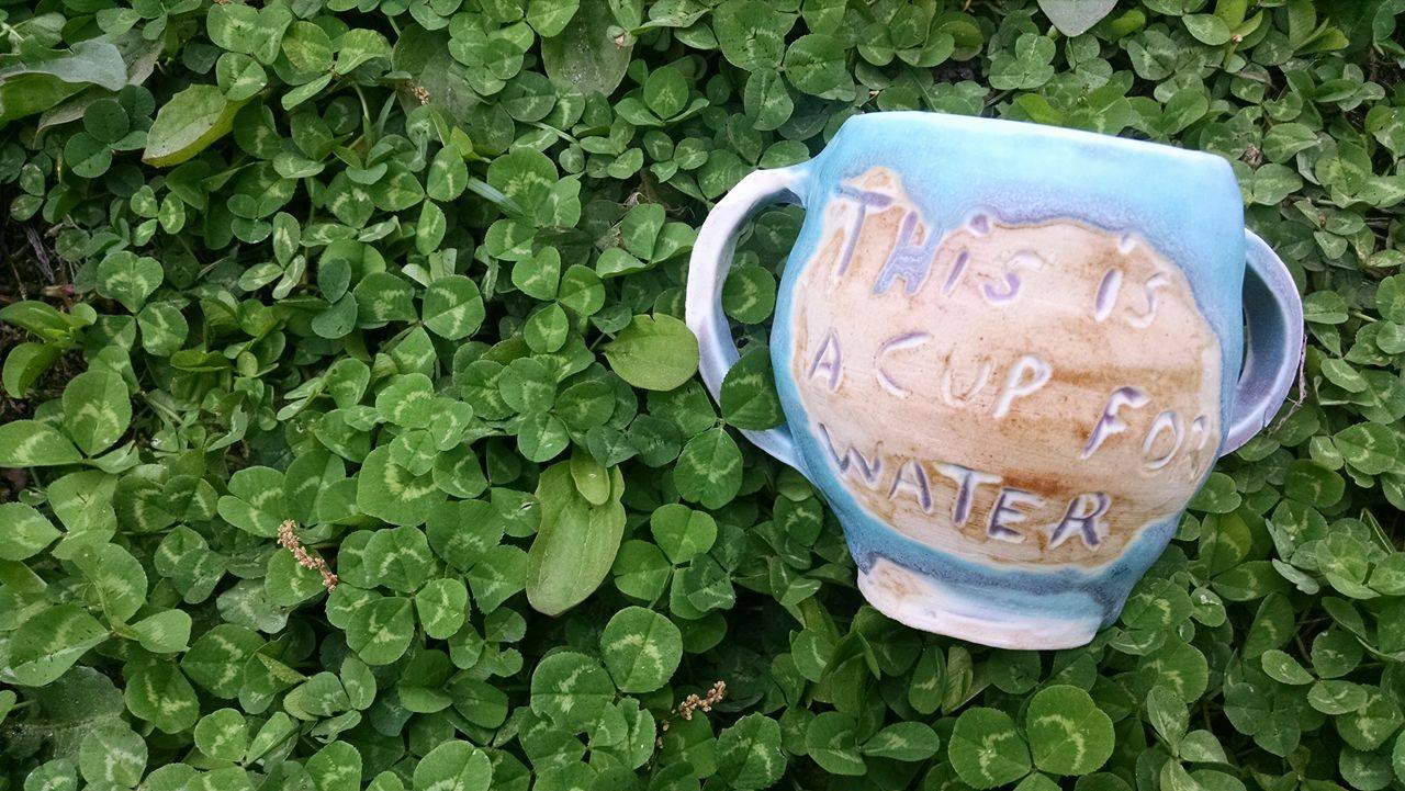 13241589_1771336389753068_519560853_o