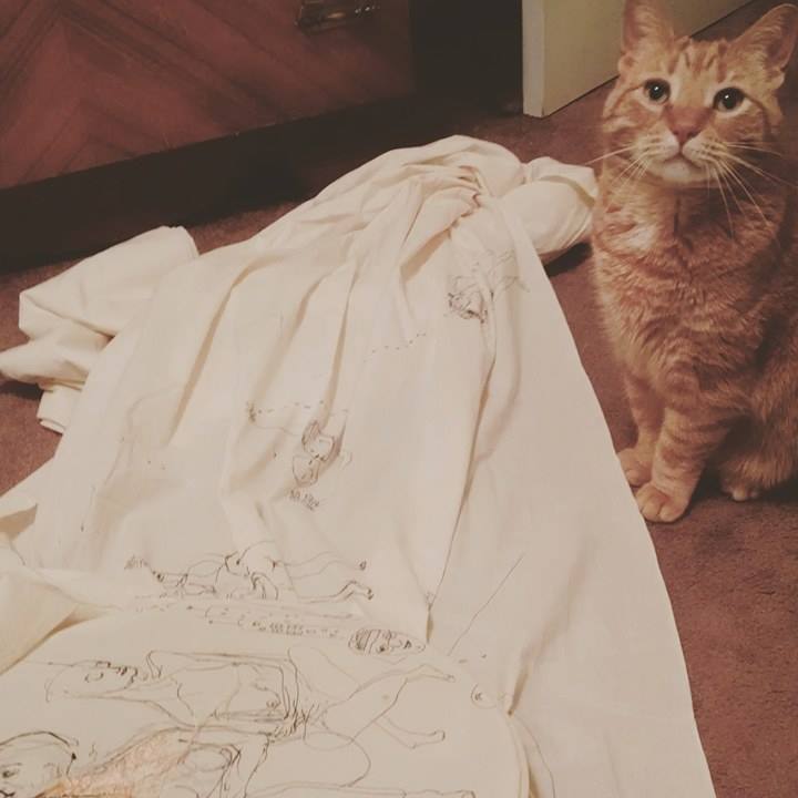 13250455_1771336449753062_1769251303_n