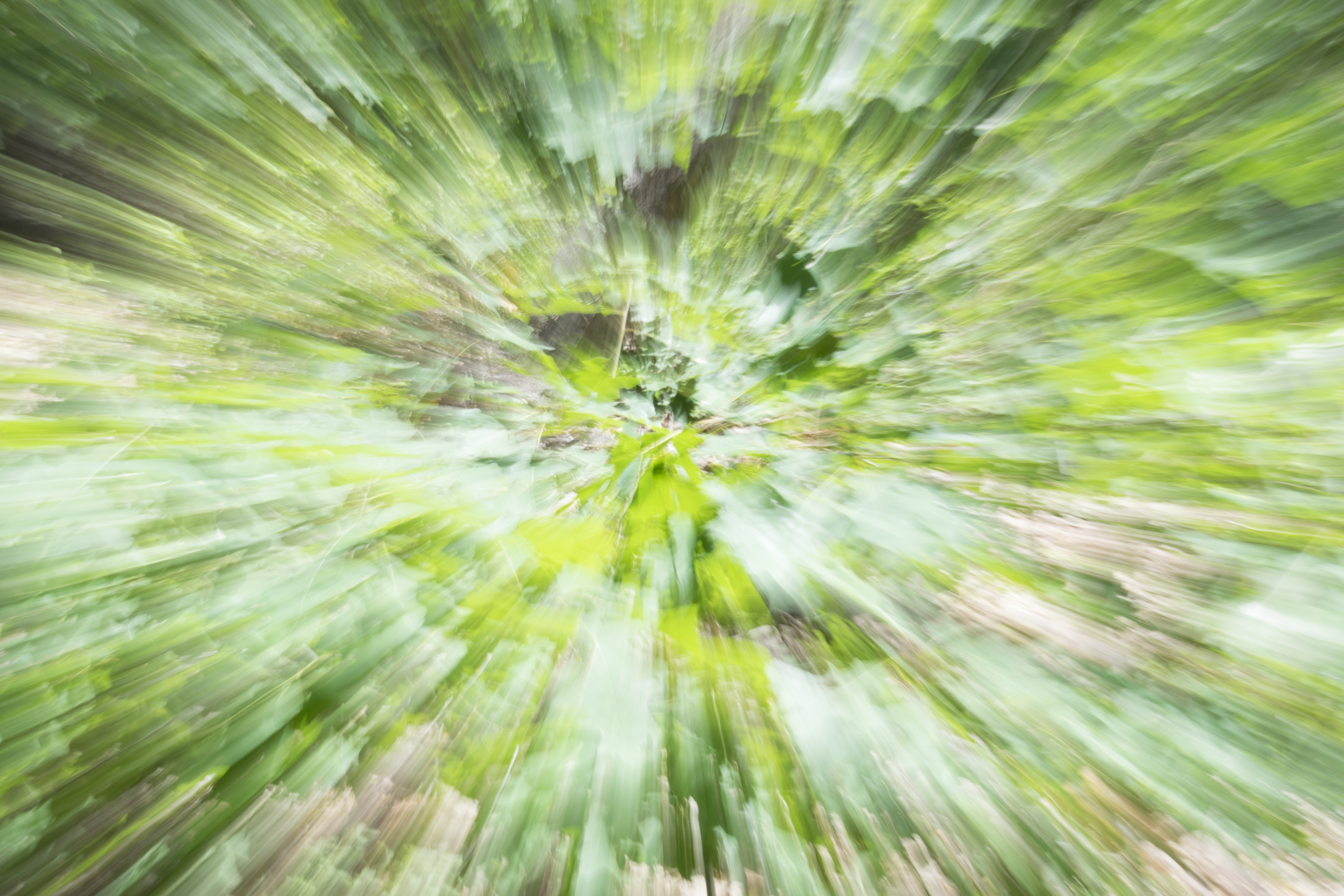 _DSC0112