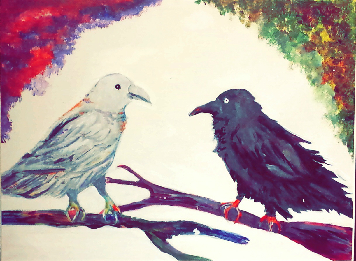 Portfolio cropped picture of two birds