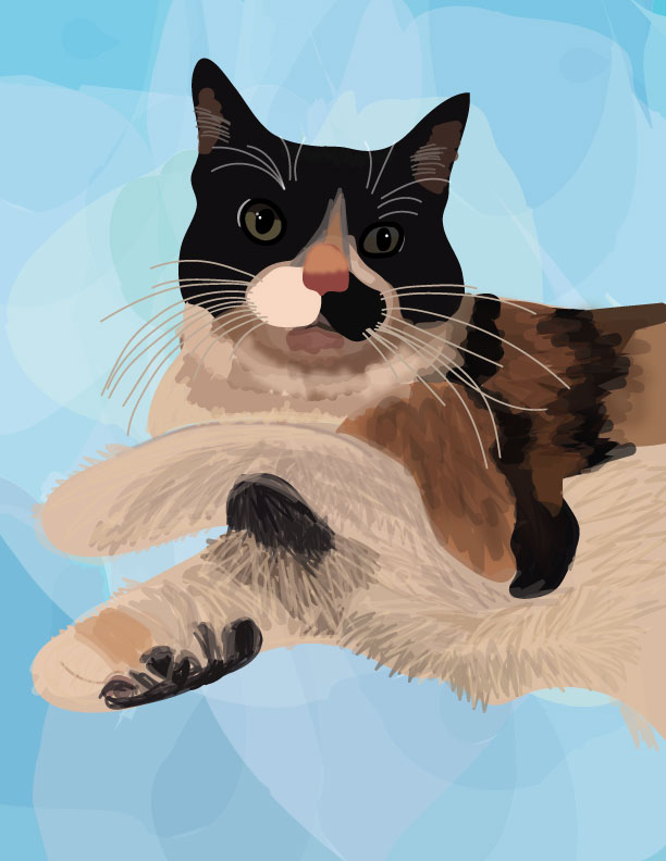 black and white cat cartoon