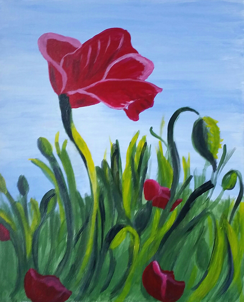 Amy Bogdon