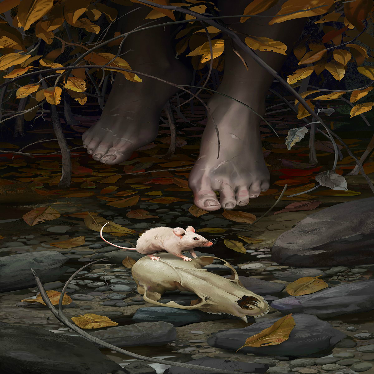 small woodland creature on a skull by feet