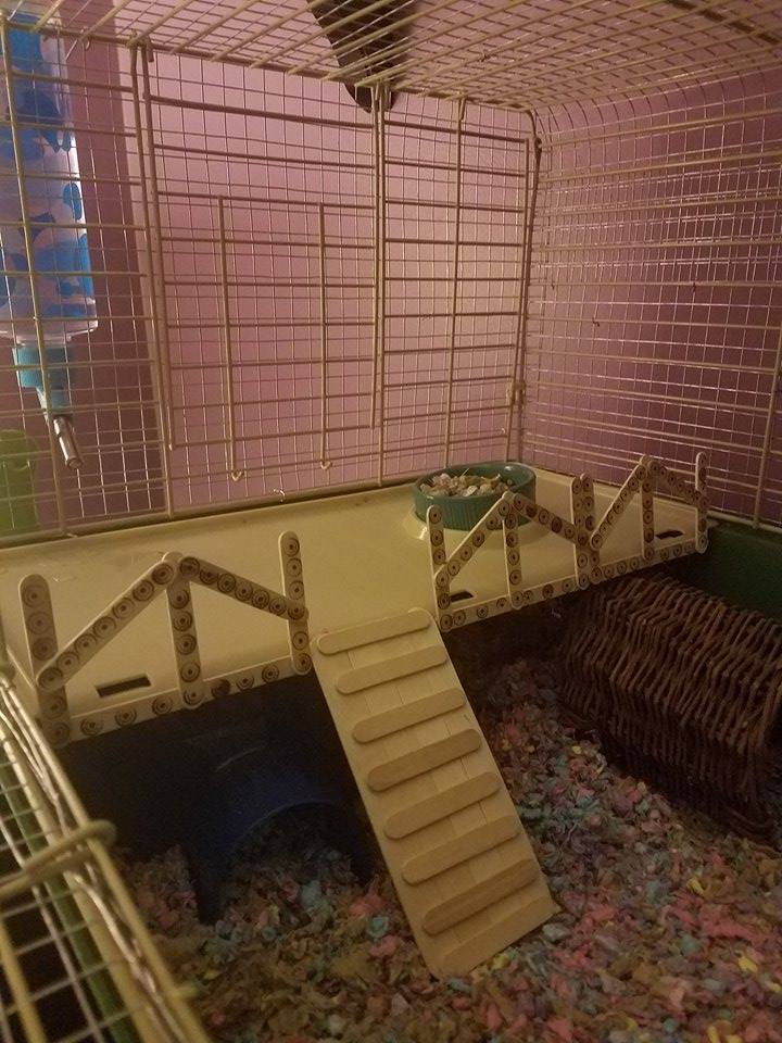 hamster cage