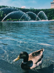 Processed with VSCO with c1 preset