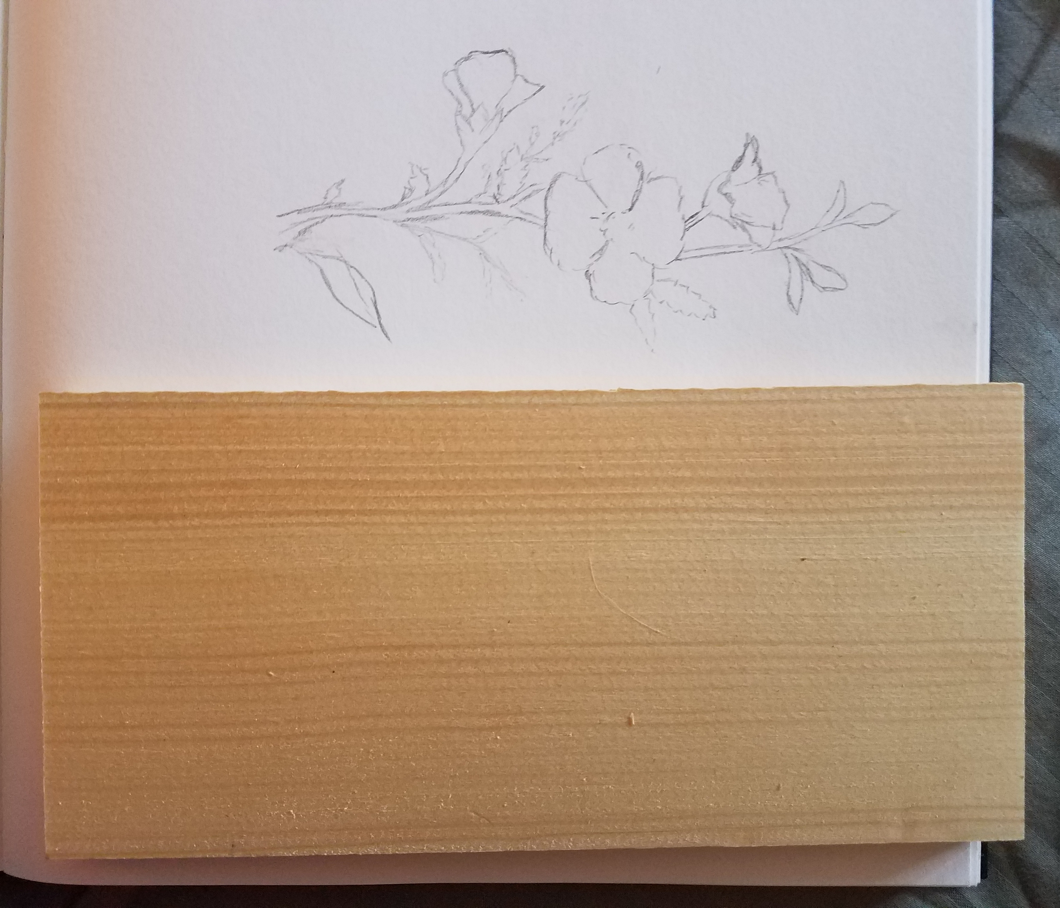 Flower sketch and wood