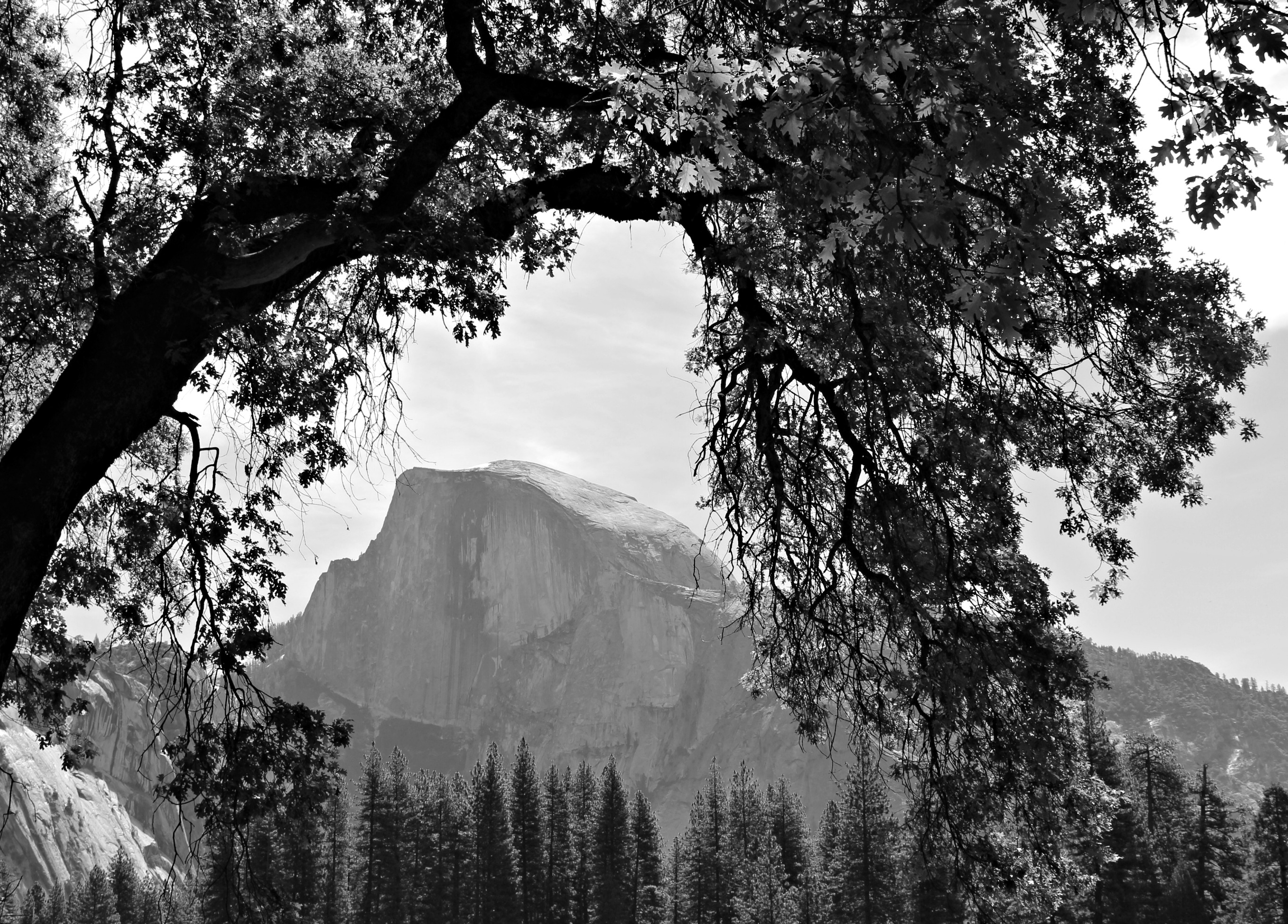 Half Dome