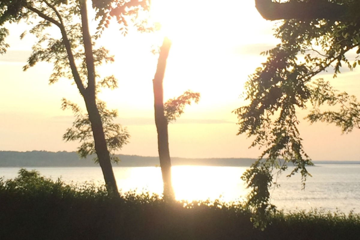 Keeping Busy this Summer