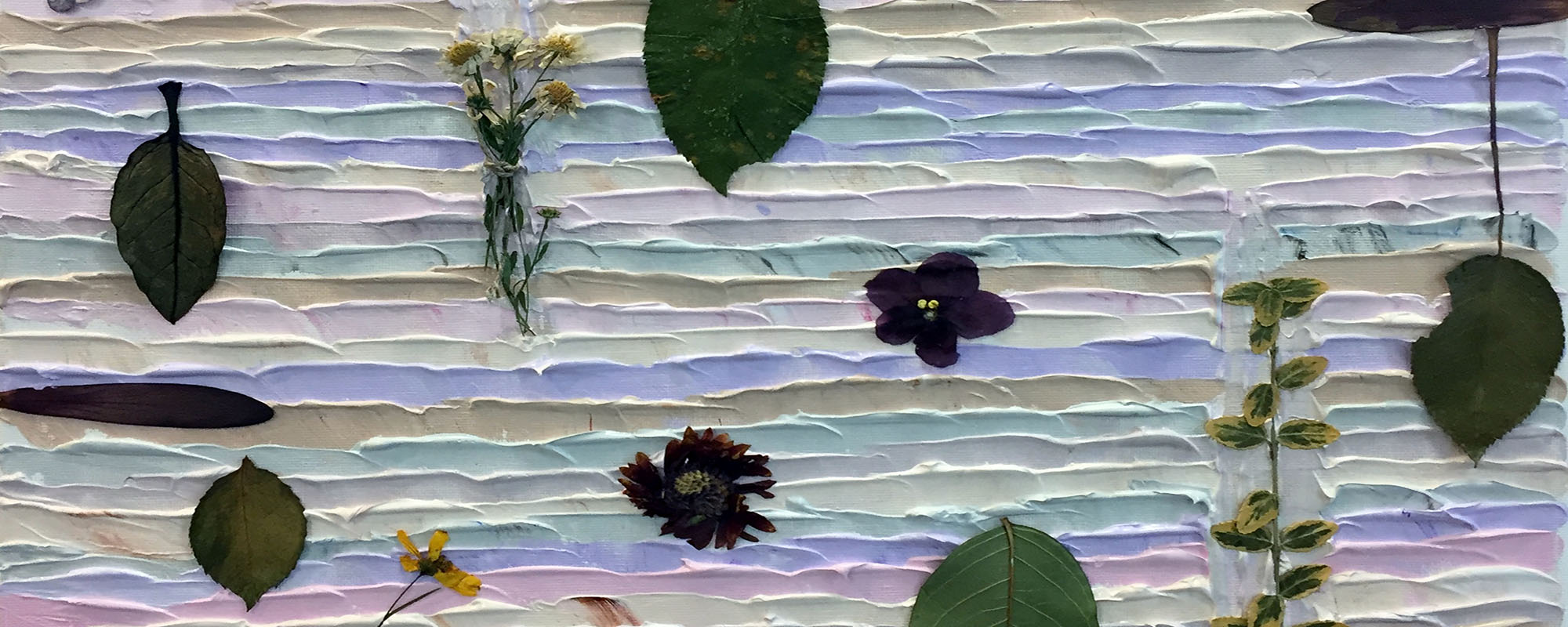 pressed flowers on a pastel layered back