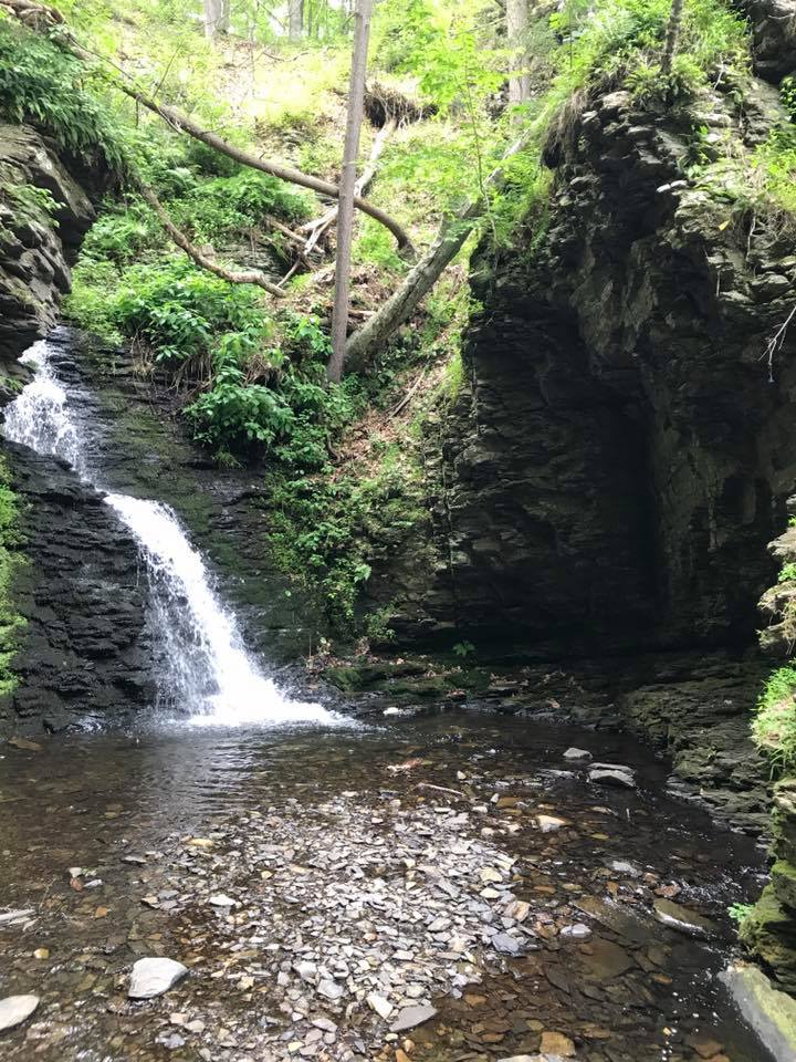 Cove, Bushkill Falls