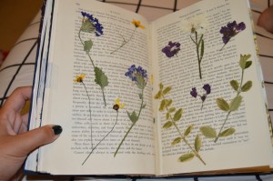 pressed flowers on an open book