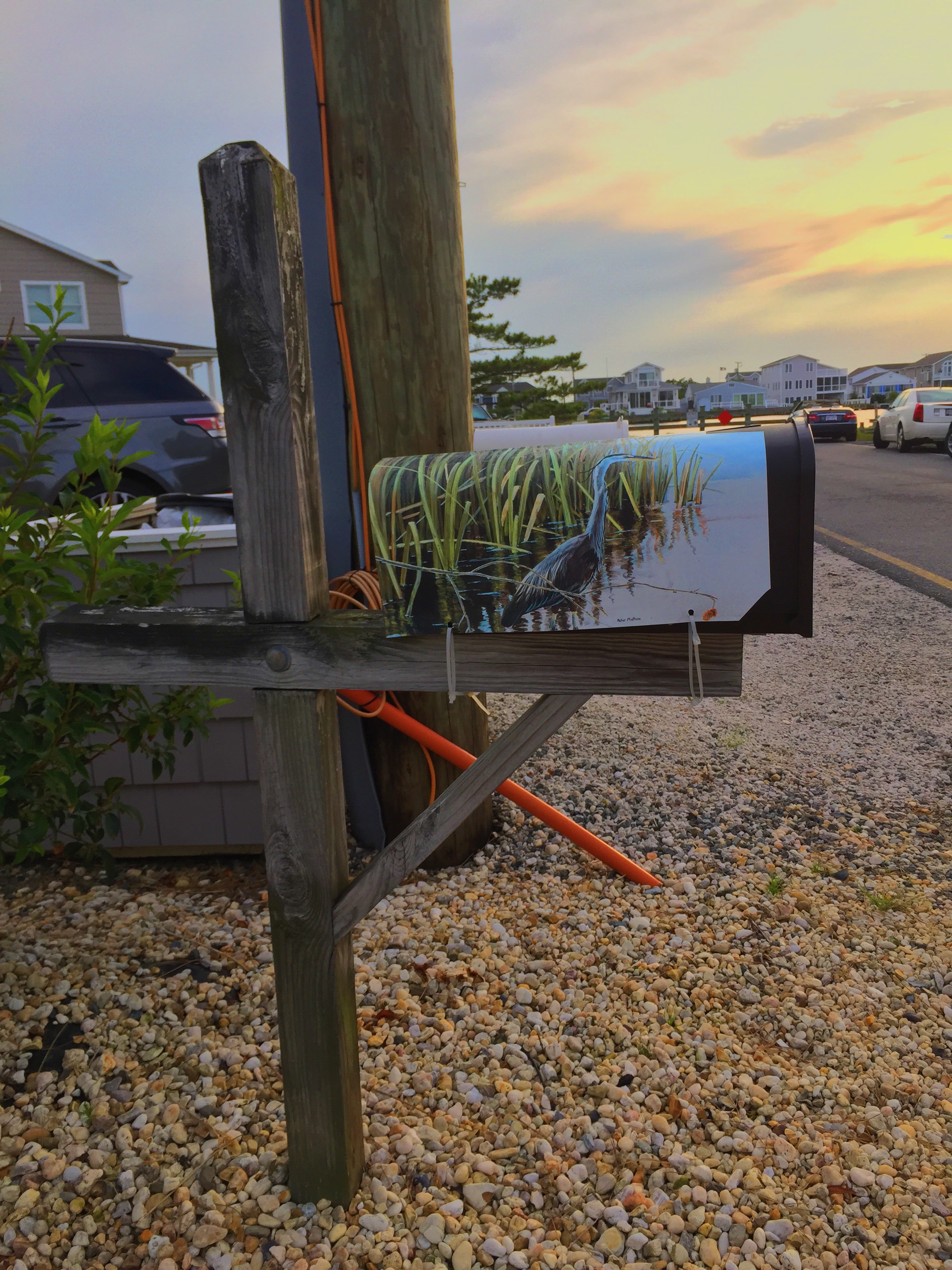 Blue Heron Mailbox