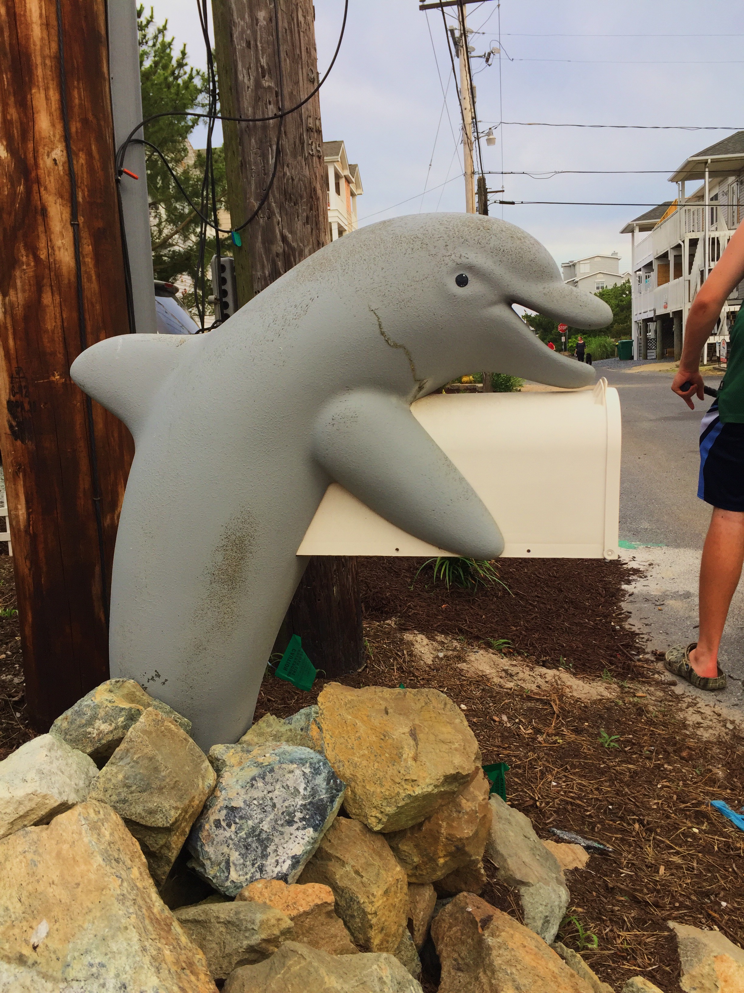 Dolphin Mailbox