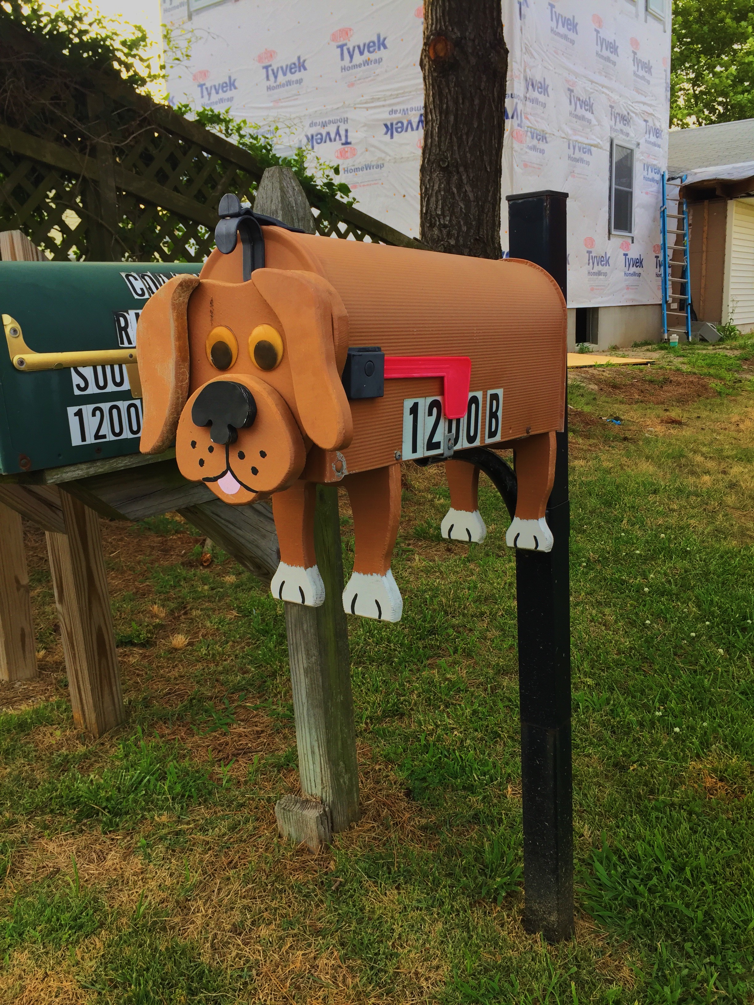 Dog Mailbox