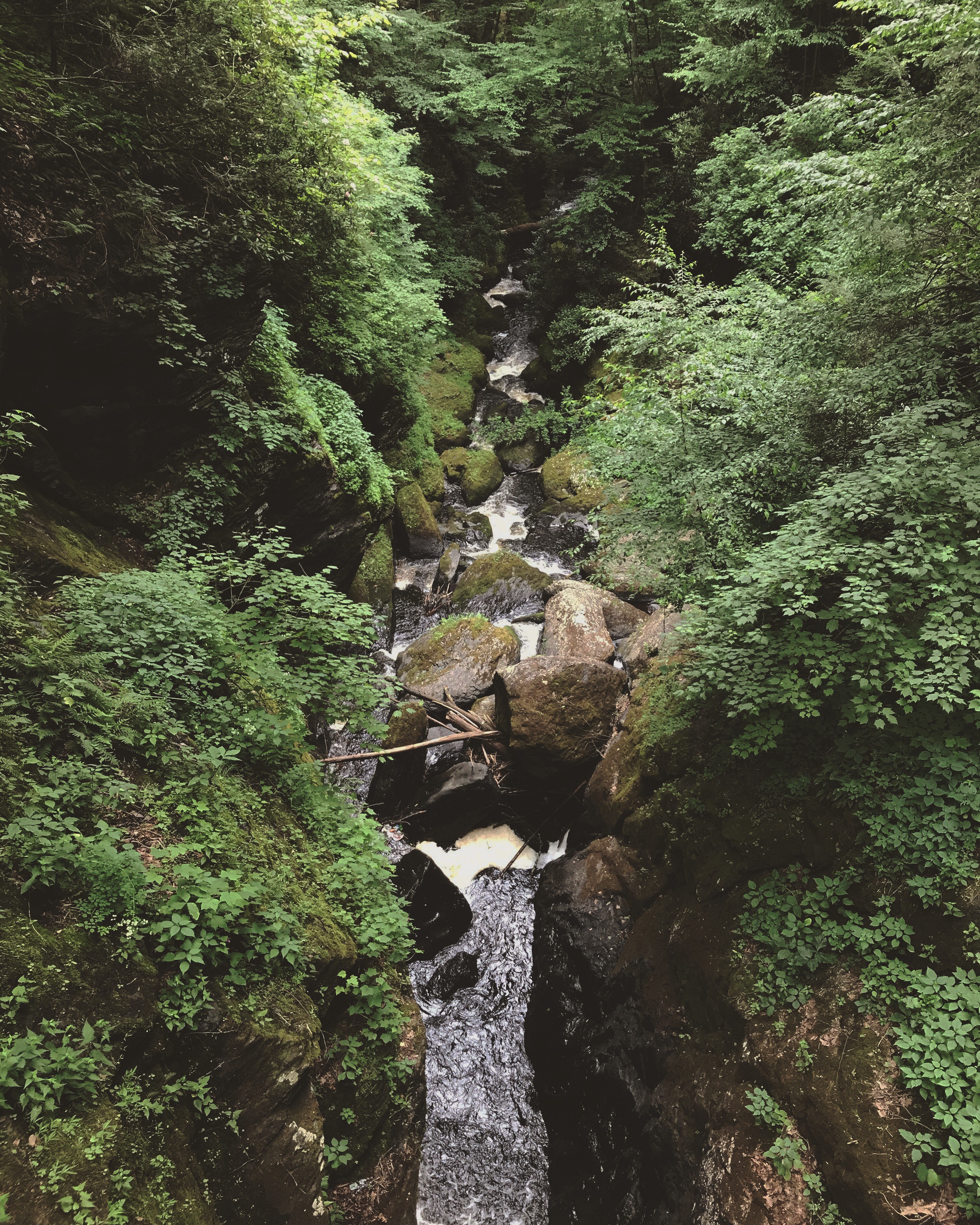 Rocky Passage, Bushkill Falls