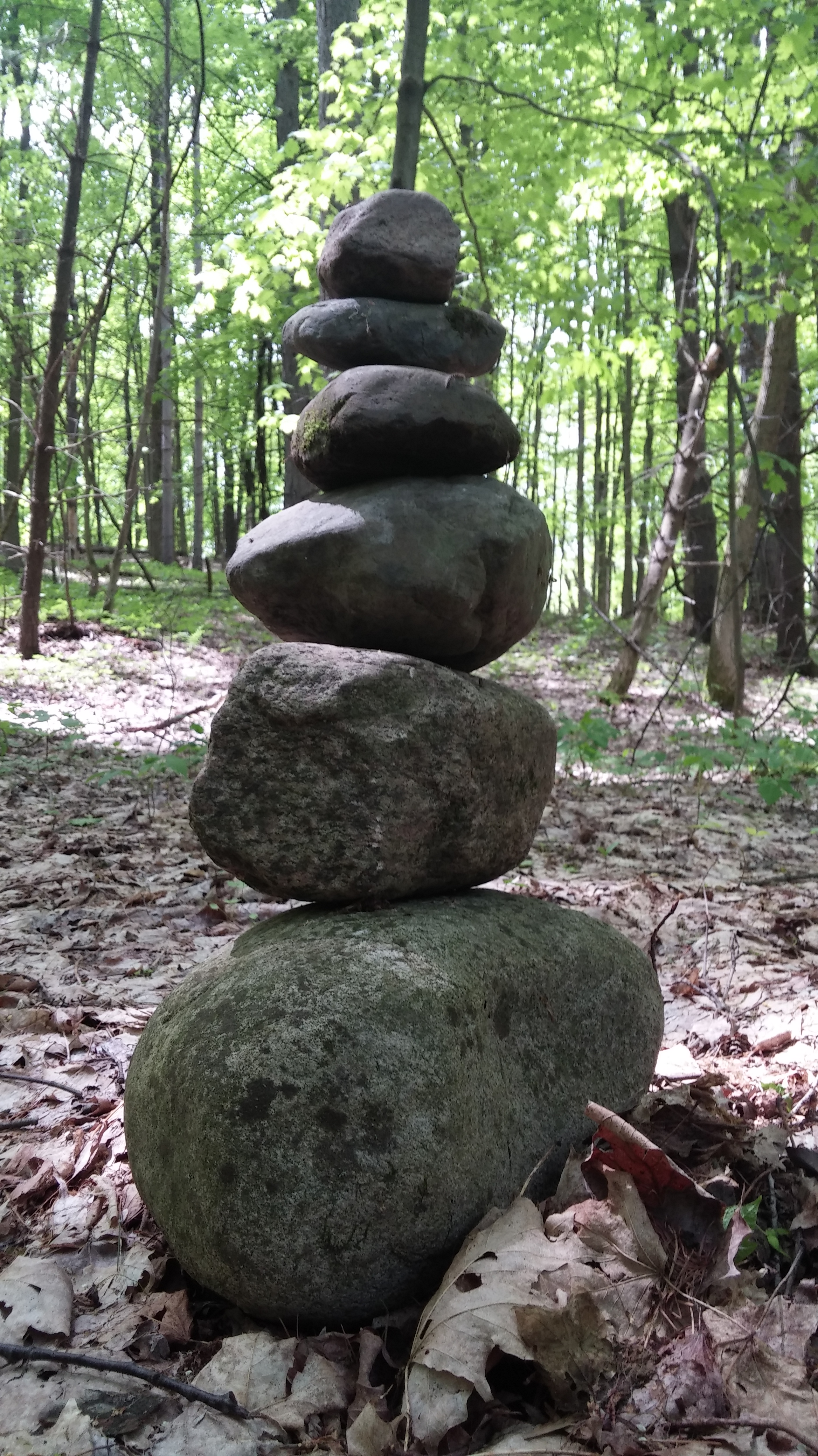 20170521_120944.jpg