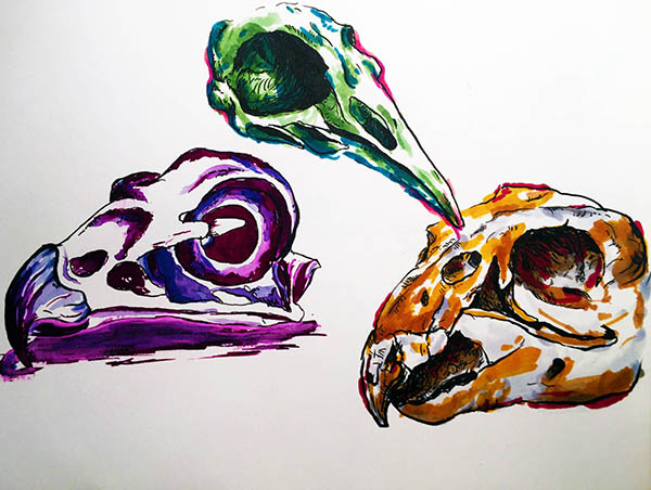 Traditional Skull Art