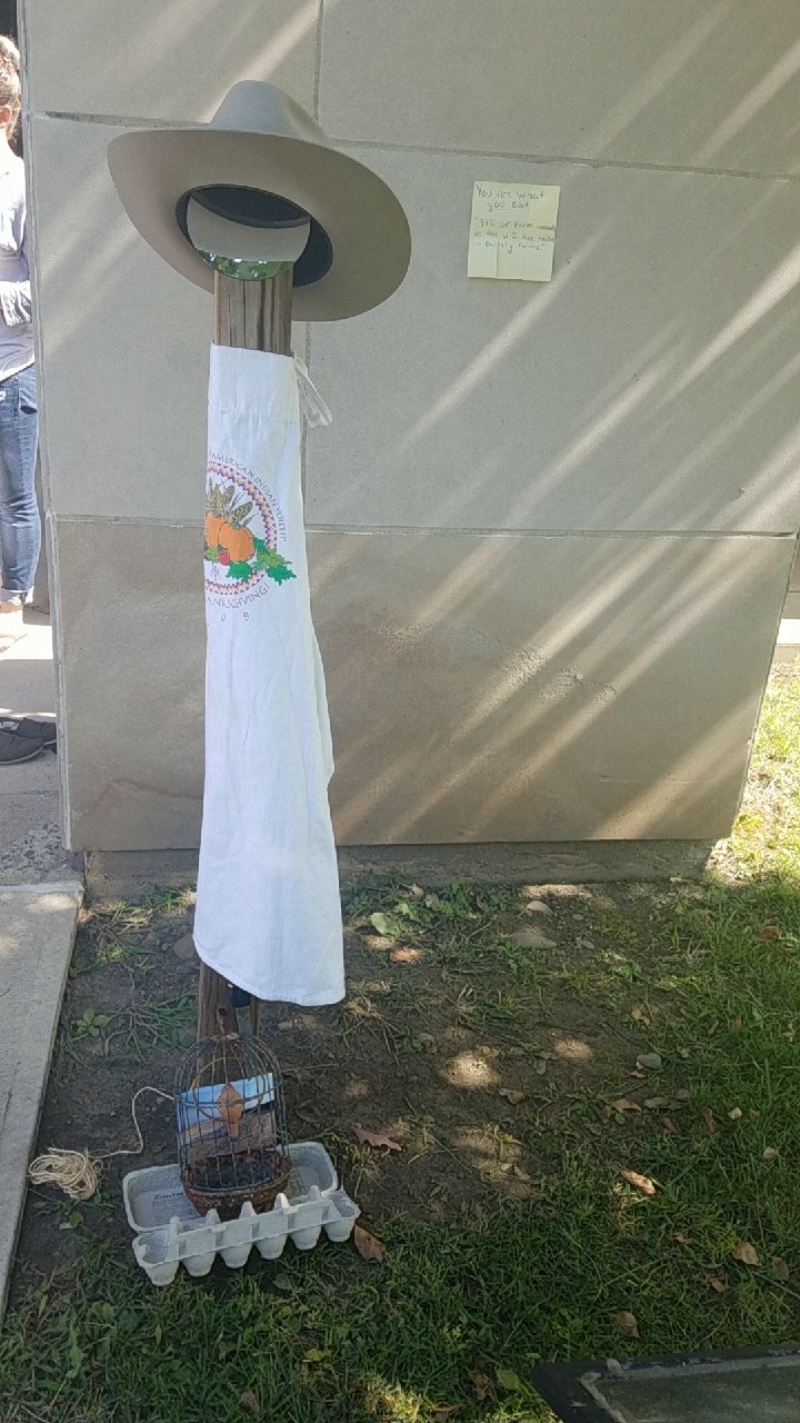 You are what you eat