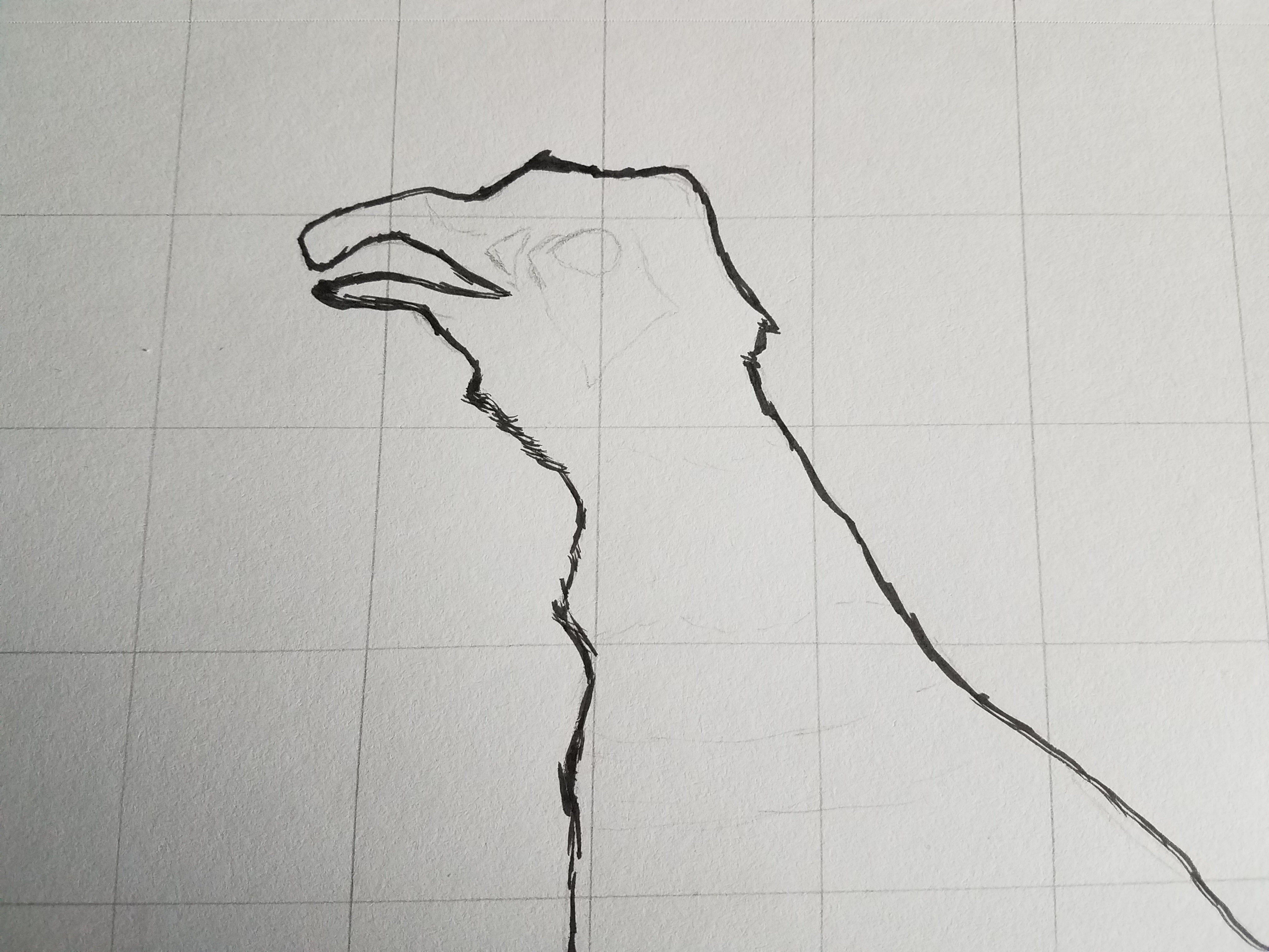 birds face in ink