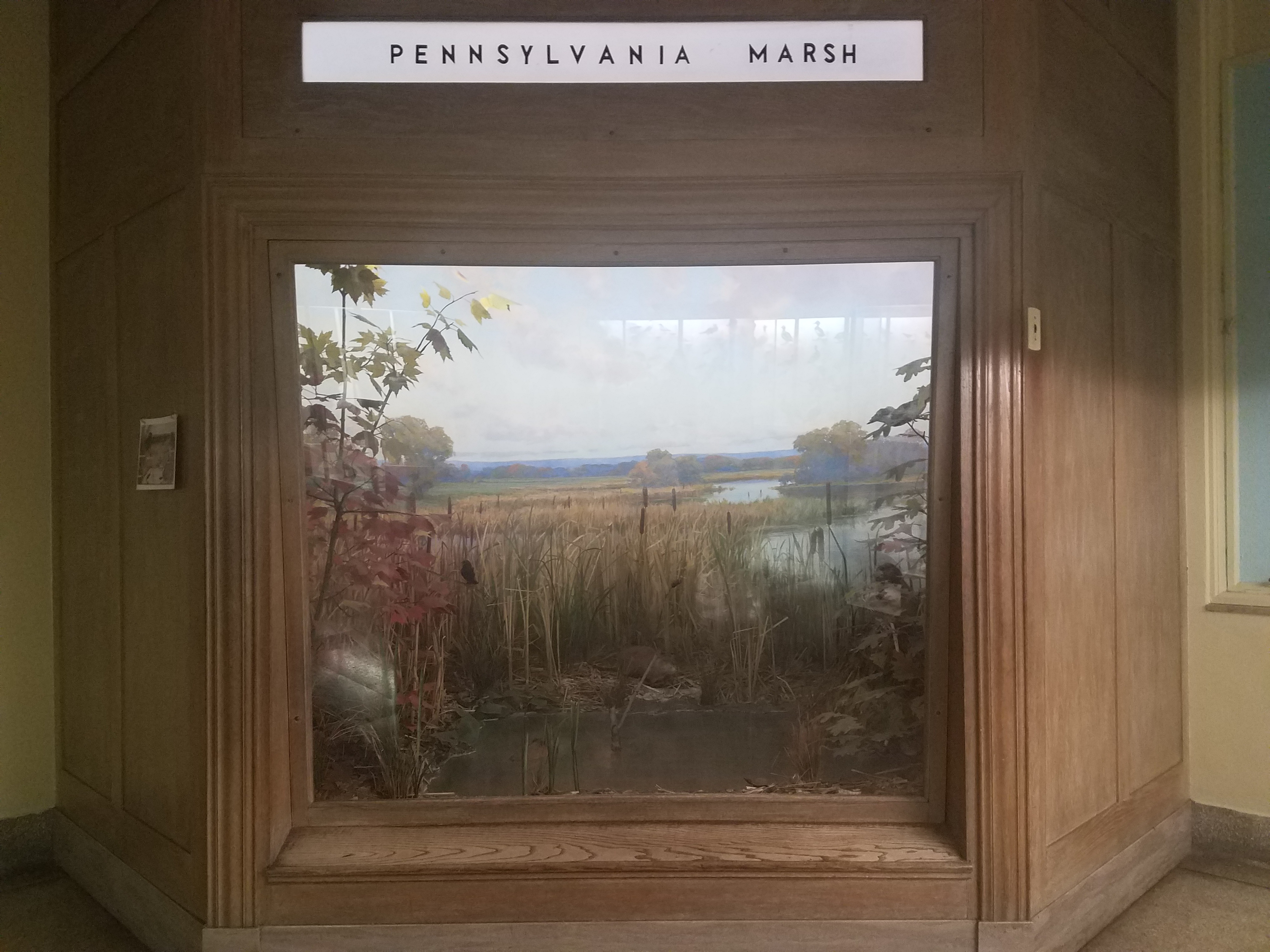 Everhart museum