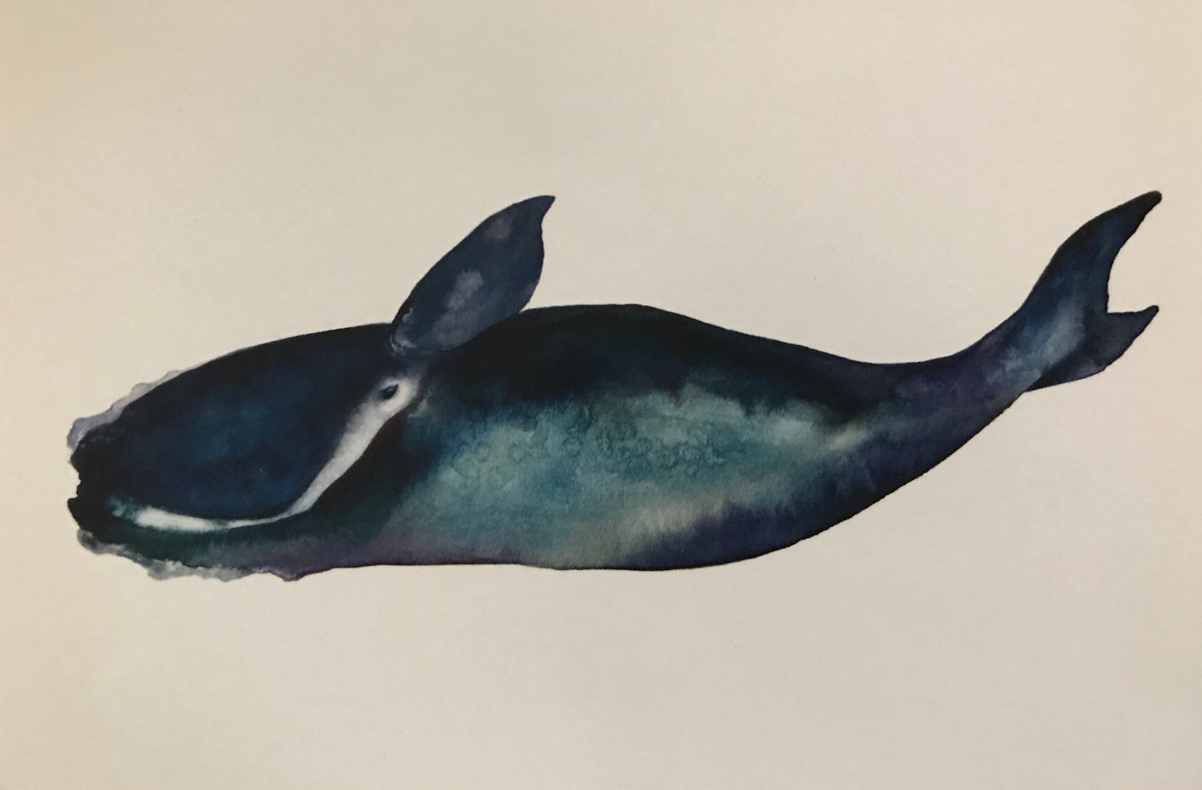 82E6A5E4-006F-4E14-854F-B7055C8030D6