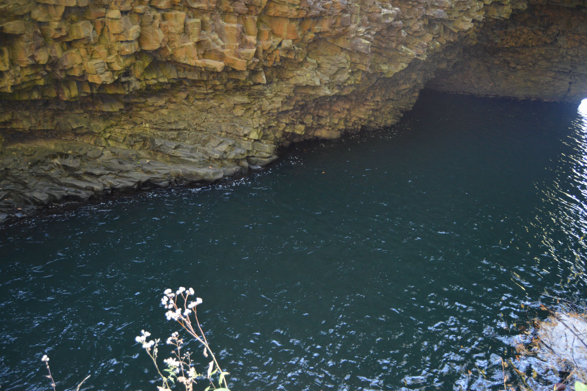 cliff over a river with flowers poking out