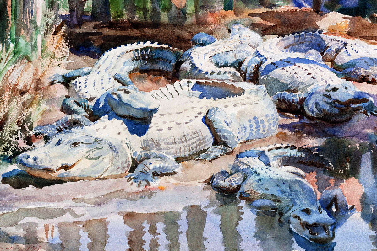 Muddy Alligators by John Sargent Close up