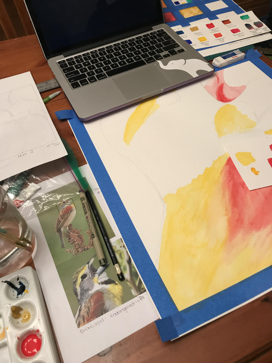 Process Photo