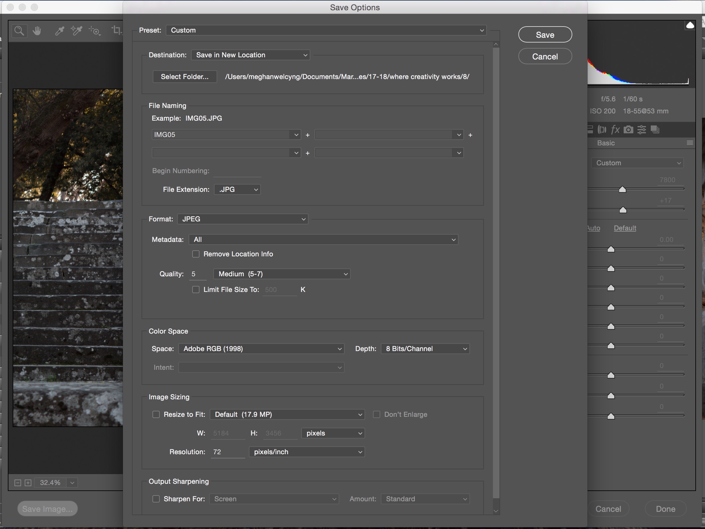 Save Options in Camera Raw.