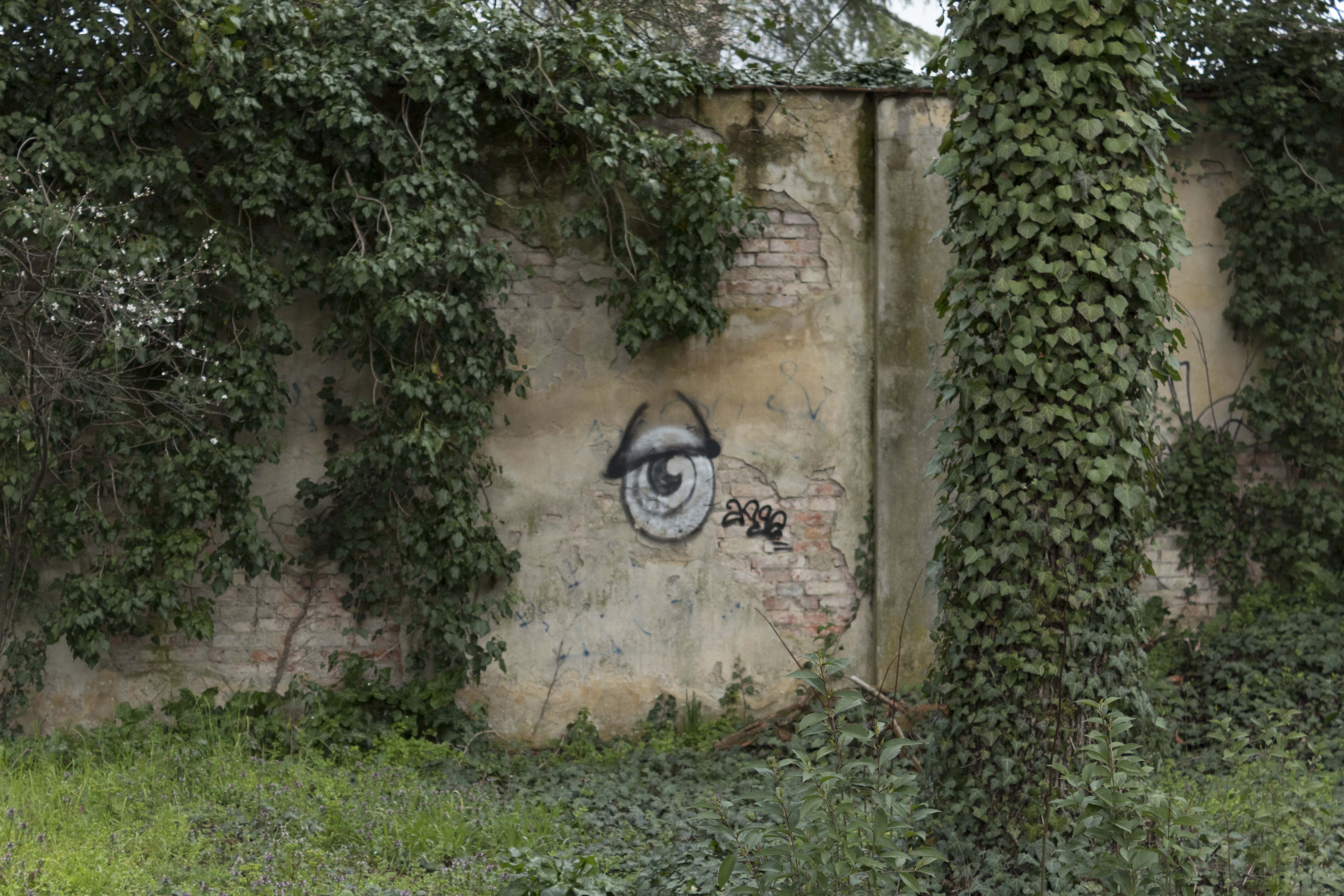 Graffiti Eye