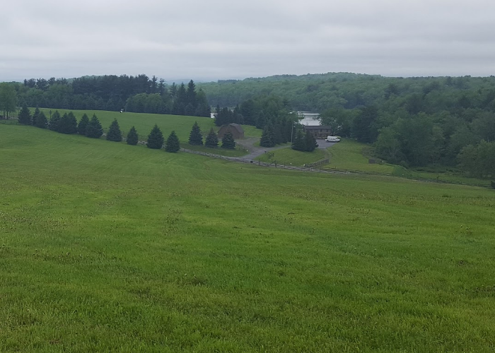The field woodstock was held in
