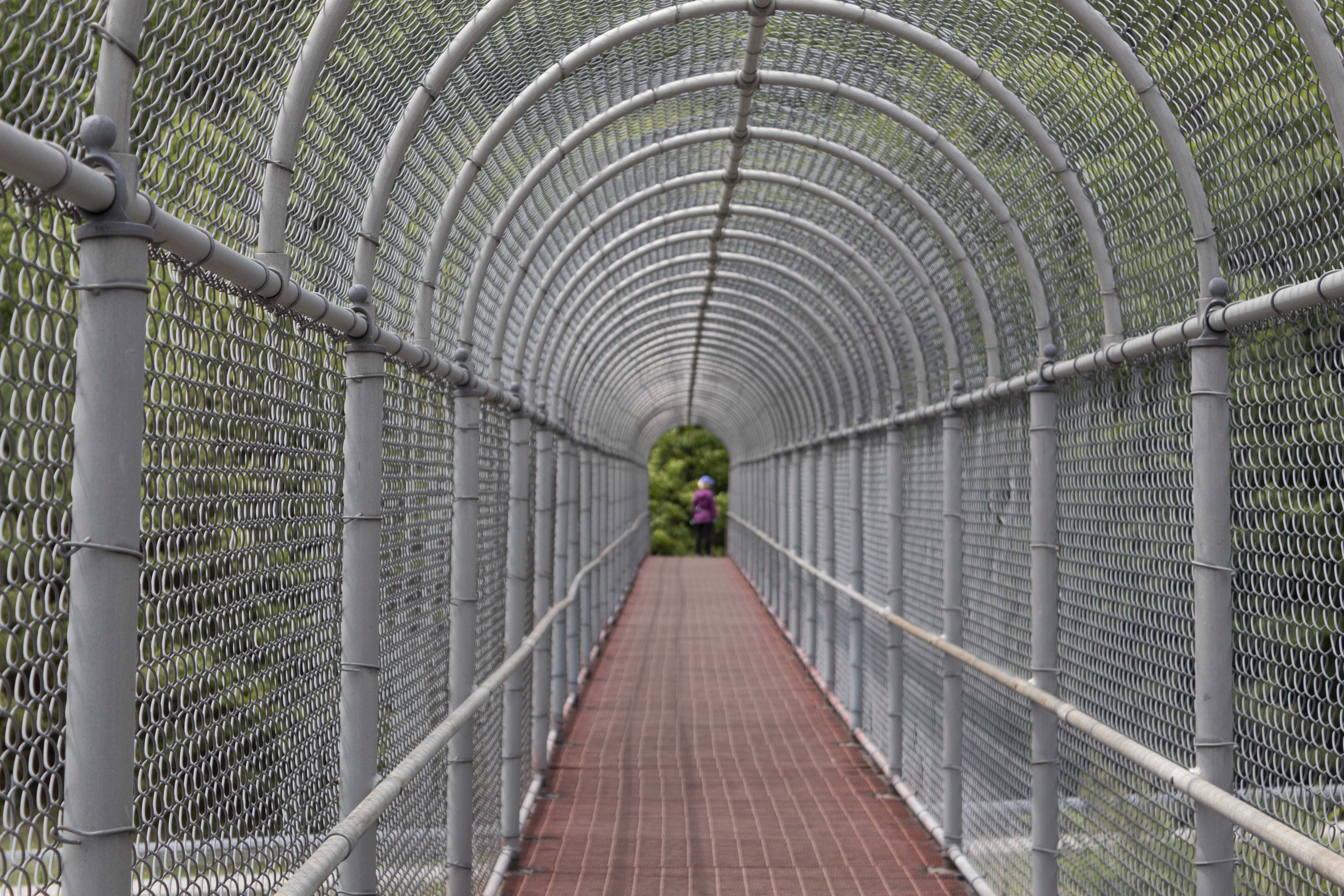 Bridge Over I-87 that leads to beginning of trail.