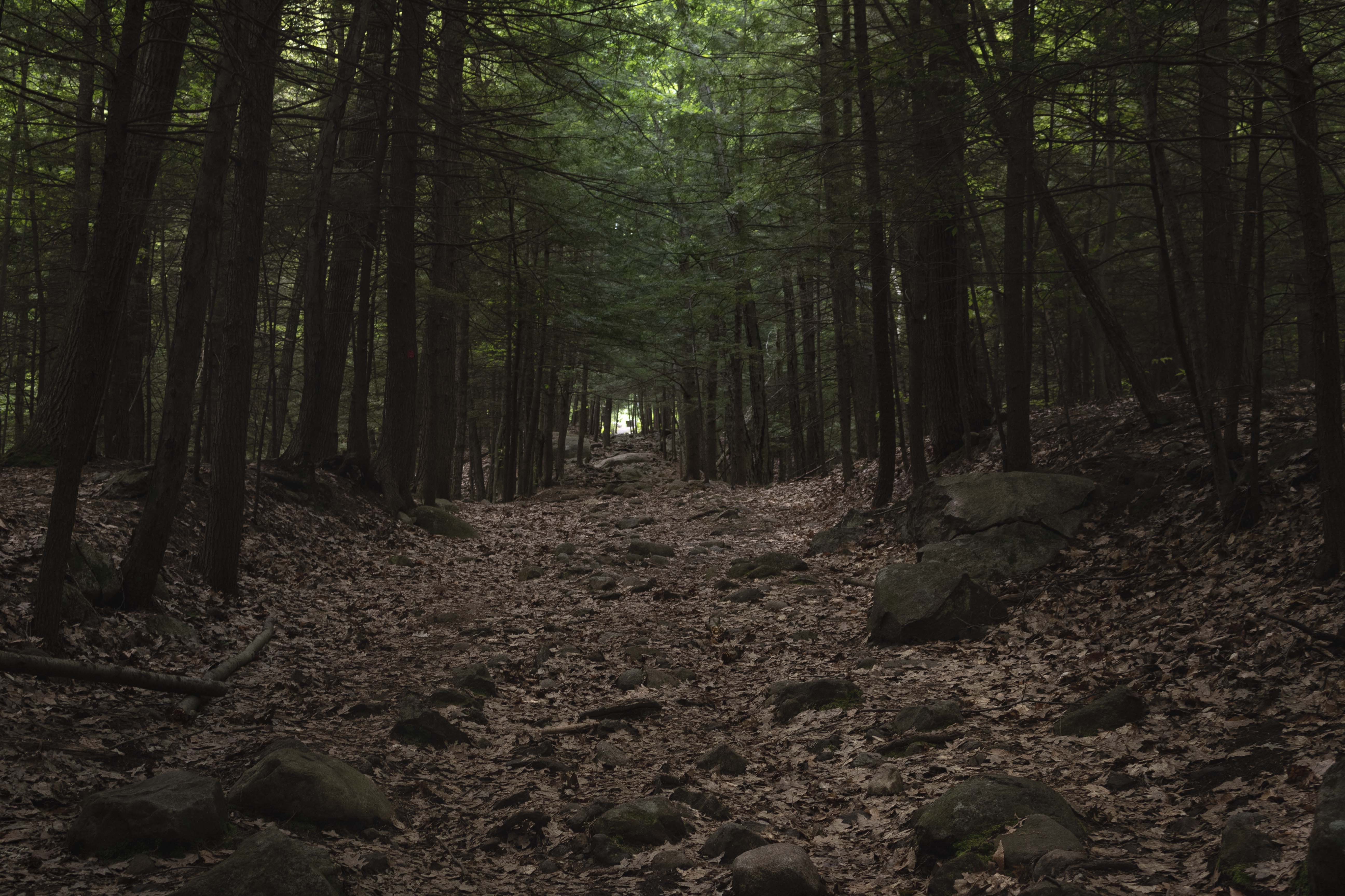 Hiking Trail Up Prospect Mountain