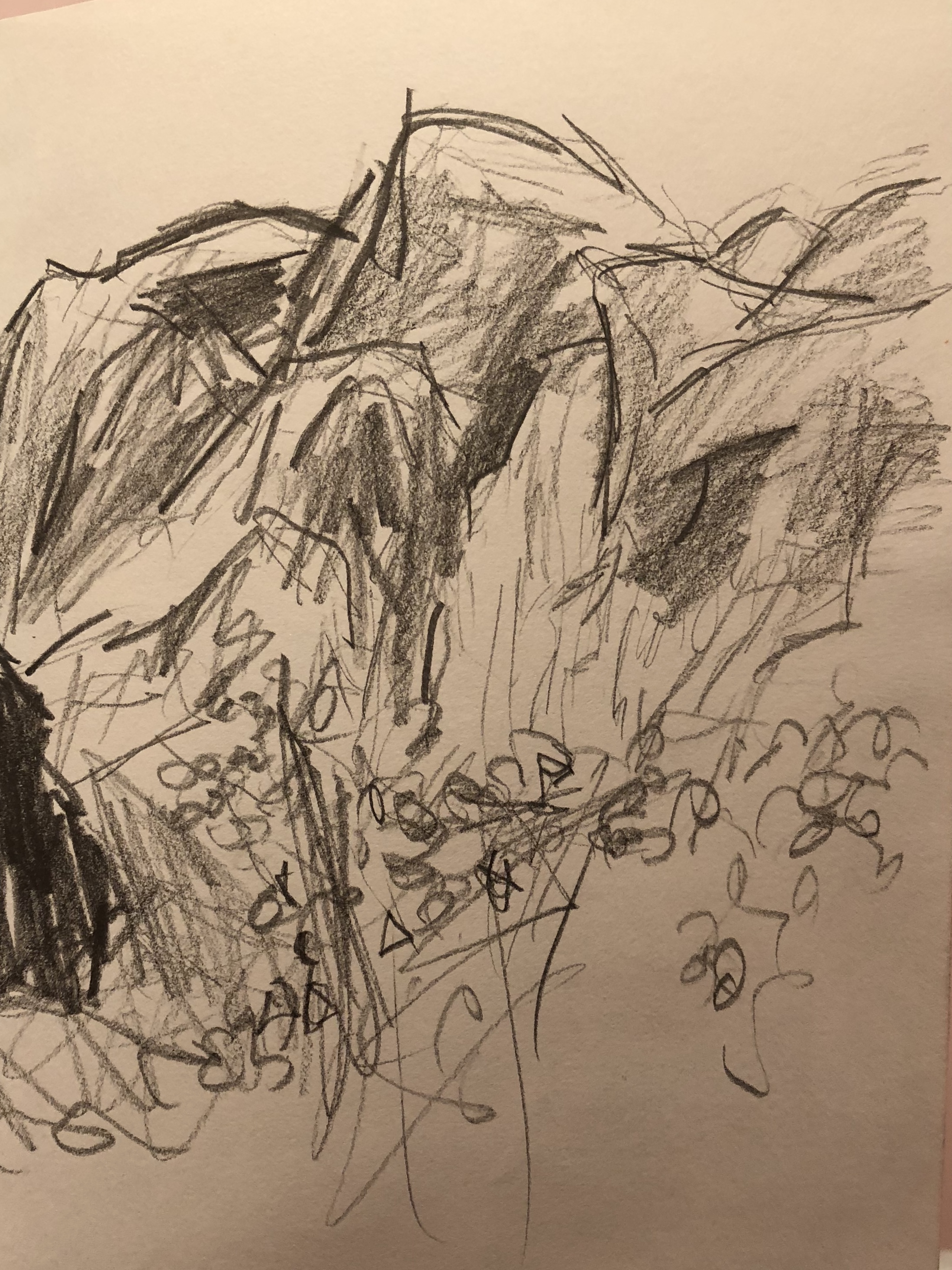 Sketch 2