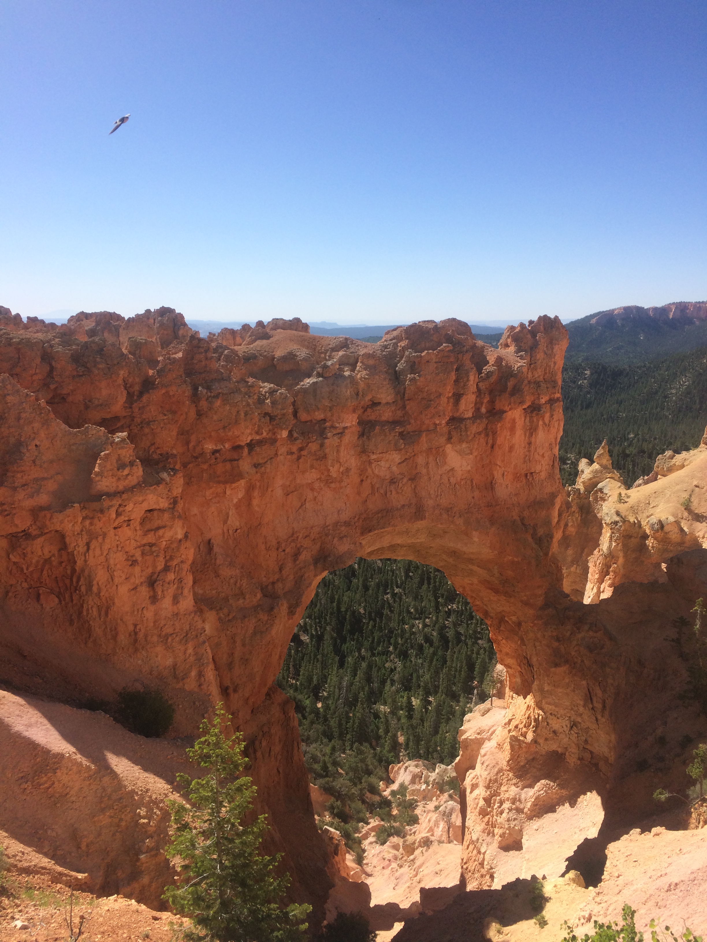 Bryce National Park