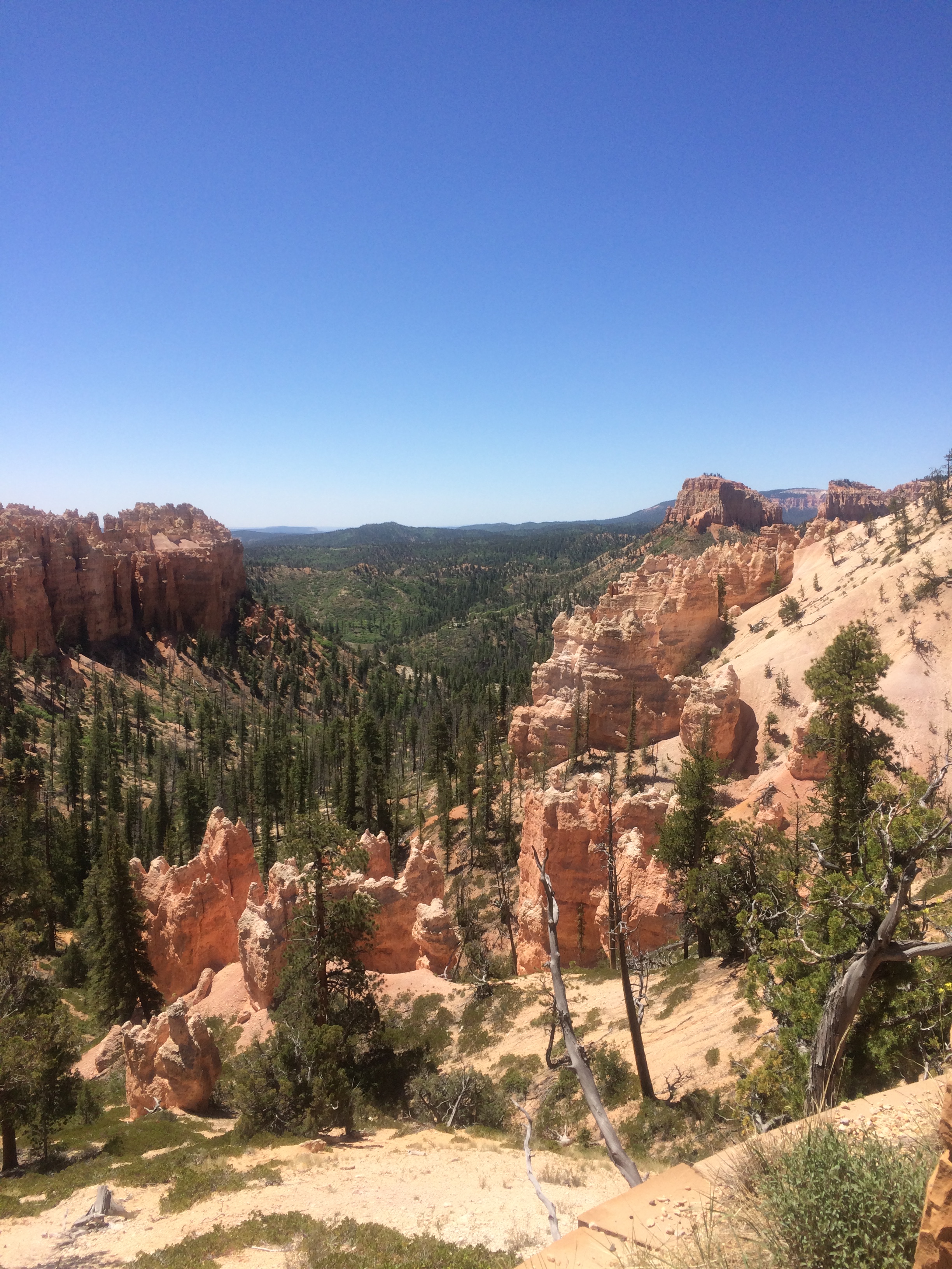 Bryce National Park