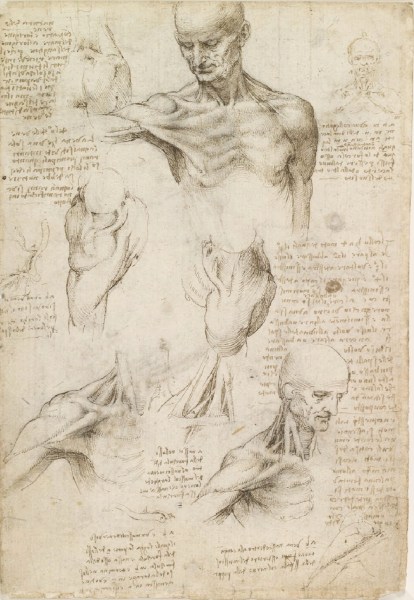 Leonardo da Vinci c. 1510